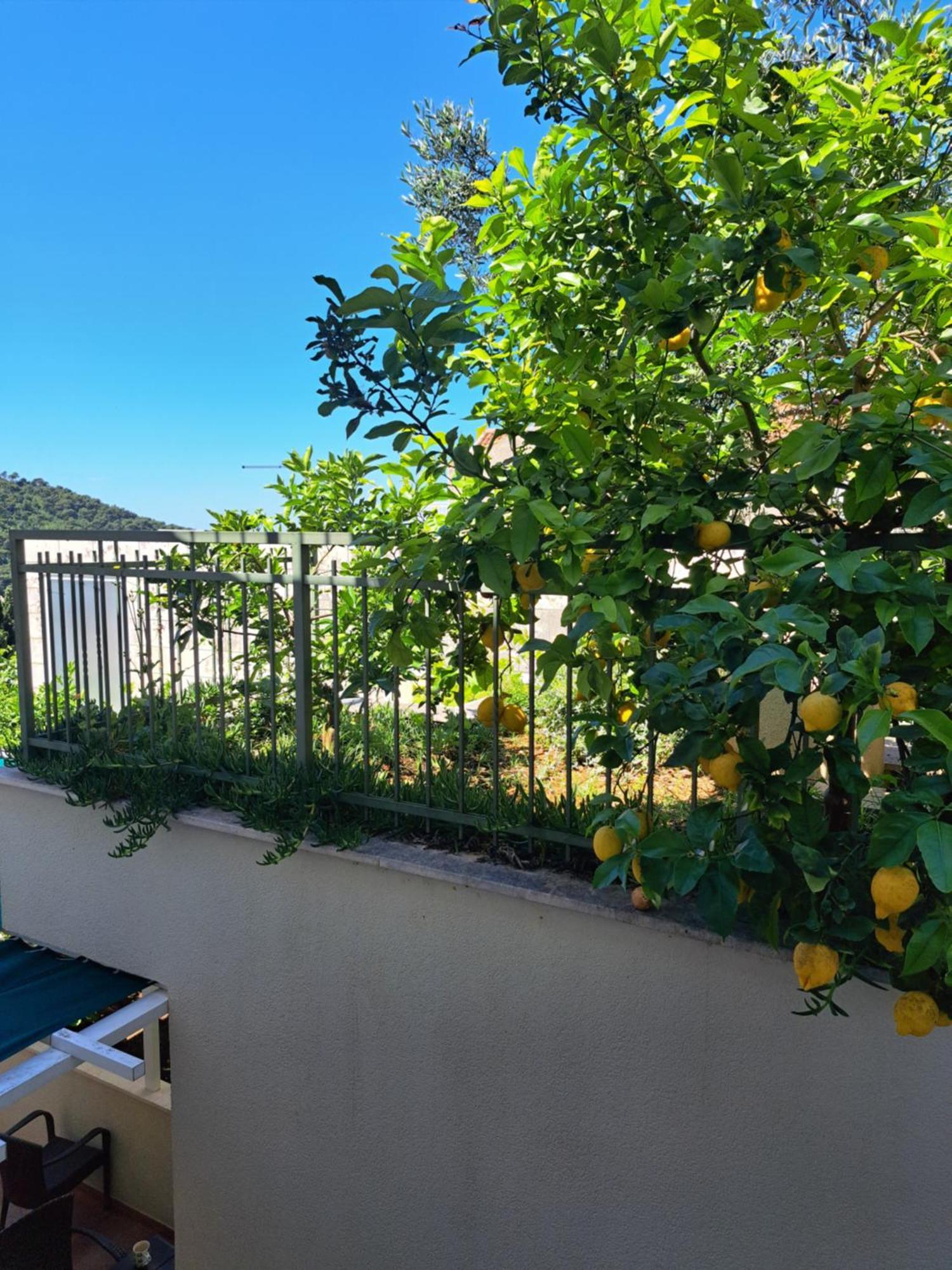 Apartments Margaretic Dubrovnik Ngoại thất bức ảnh